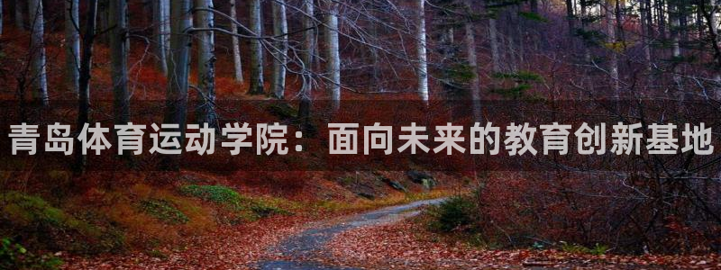 海南oety欧亿体育官网下载:青岛体育运动学院:面向未来的教