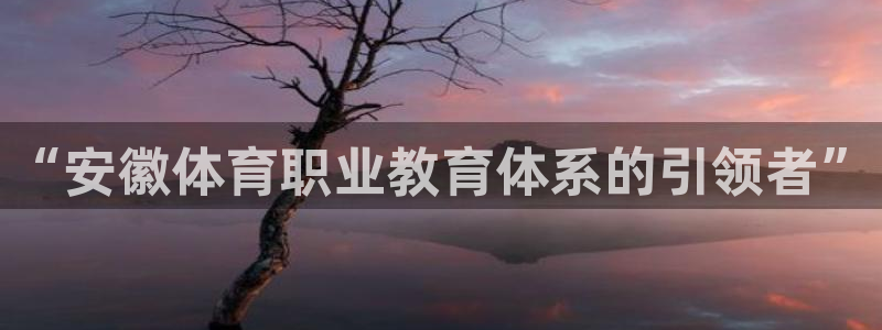 oety欧亿体育官网下载官方客服电话:“安徽体育职业教育体系