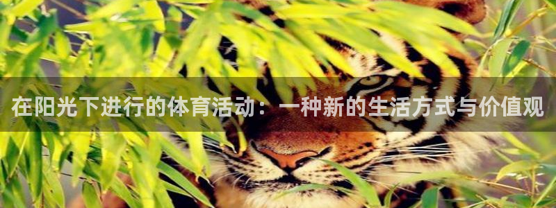 欧亿体育官方正版app集团官网网址:在阳光下进行的体育活动: